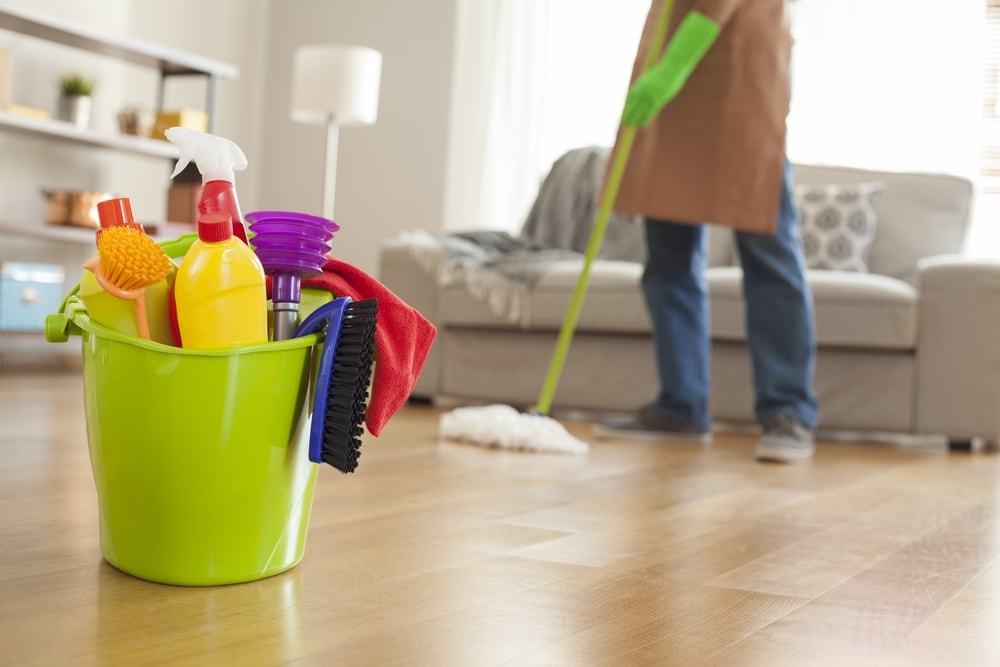 House Cleaning Services